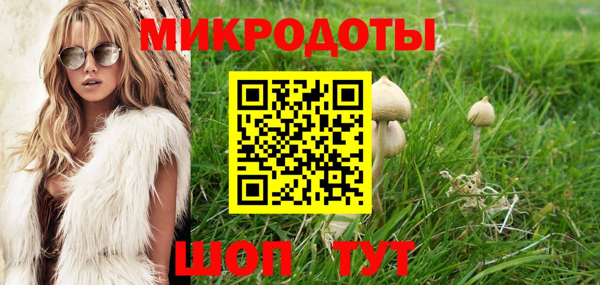 Дмитров  Псилоцибиновые грибы Psilocybine cubensis  Вход с VPN 
